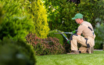 Horticulture Support: Soil management, lawn mowing, and regular plant care.