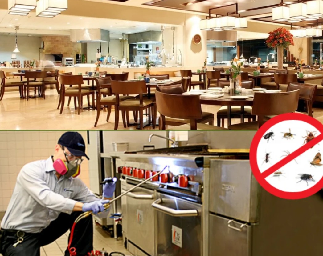 Special Restaurant pest control