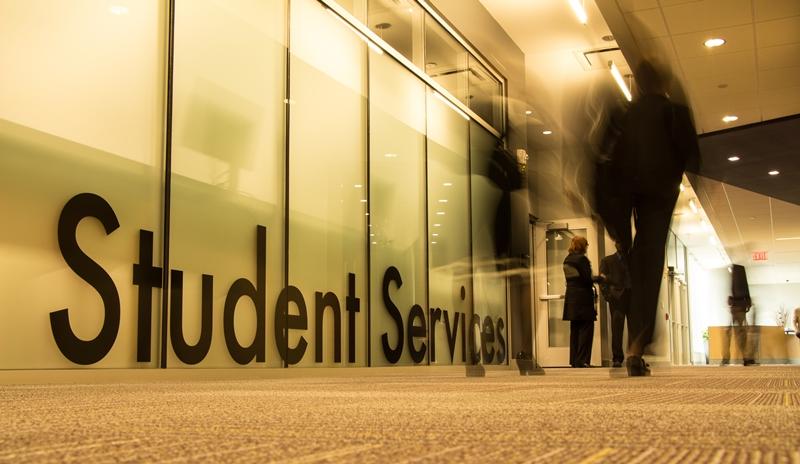 Consultancy: Student consultancy and specialized travel support.